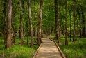 067 Congaree NP